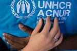 ACNUR FOTO: WEB