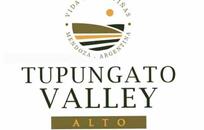 TUPUNGATO VALLEY ALTO FOTO: web TUPUNGATO VALLEY ALTO FOTO: web