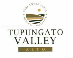 TUPUNGATO VALLEY ALTO FOTO: web