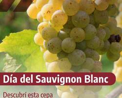 Día del Sauvignon Blanc FOTO: argentina.gob.ar