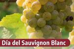 Día del Sauvignon Blanc FOTO: argentina.gob.ar