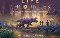 Experiencia  FOTO: WEB