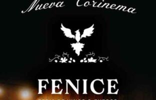 FENICE FOTO: WEB