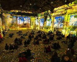 MONET INMERSIVO  FOTO: WEB