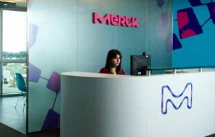 Merck FOTO:  WEB