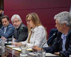 CMCABA  FOTO: CMCABA