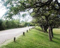 Reserva Ecológica de la Costanera Sur FOTO: GCABA
