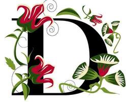 Demuru Restaurant FOTO: WEB