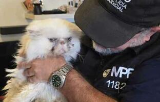 Rescate FOTO: MPFCABA