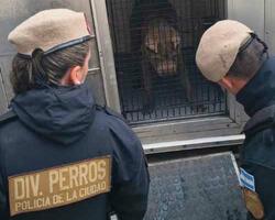 Rescate FOTO:MPFCABA