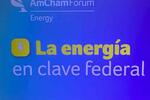  AmCham Energy Forum 2026  FOTO: web