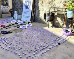 Procedimiento FOTO: MPFCABA