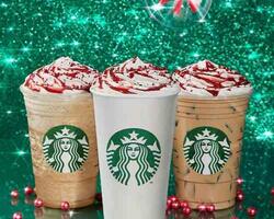 Starbucks  FOTO: WEB