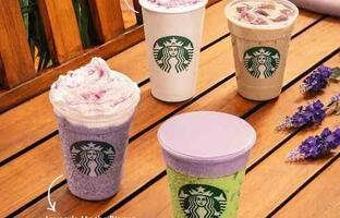Starbucks  FOTO:  WEB