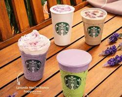 Starbucks  FOTO:  WEB