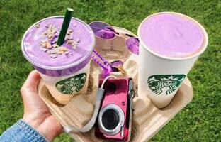 Starbucks  FOTO: WEB
