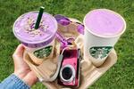 Starbucks  FOTO: WEB