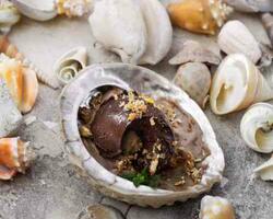 “Chocoteja” FOTO: WEB